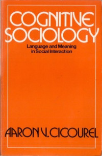 Image of Cognitive Sociology