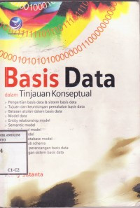 Basis data Dalam tinjauan konseptual