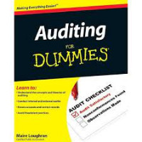 Image of Auditing For Dummies
