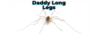 Image of Daddy-Long-Legs