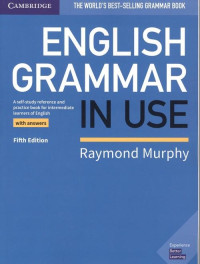 Image of English Grammar In Use