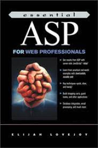 Essential Asp For Web Professionals