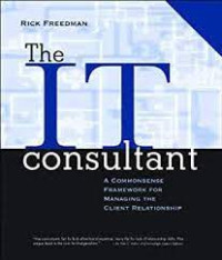 Image of The IT Consultant