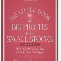 The Littel Book Of Big Profits From Small Stocks