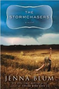 Image of The Stormchasers