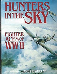 Hunters In The Sky Fighter Aces of WW ll