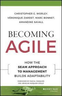 Image of Becoming Agile: How The Seam Approach To Management Builds Adaptability