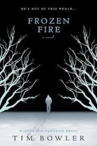 Image of Frozen Fire
